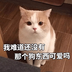  搞笑动态图gif表情包我养你啊