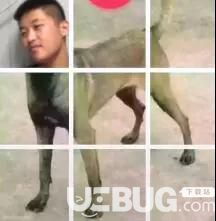  微信朋友圈九宫格狗身子图使用方法
