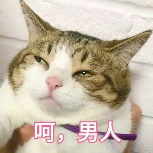  张震岳被曝准备当爸浪子终于要上岸了吗
