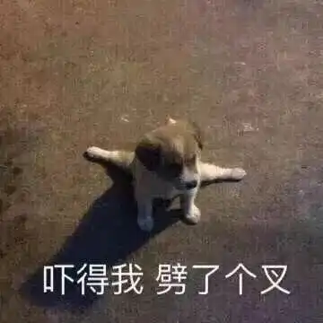  伴娘集体流血破相大铁锤都用上了如此暴力是接亲还是抢亲