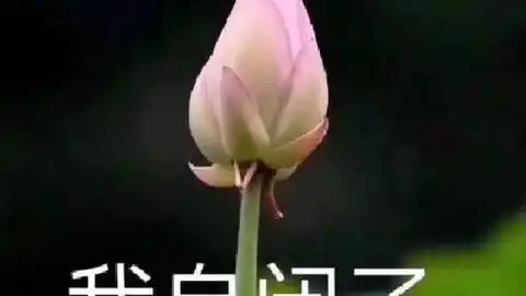  沙雕游戏1航空事故模拟器