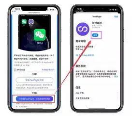  ios微信双开助手,上架了苹果官方商店