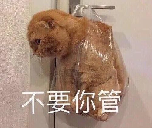  零笑点老人学会用微信群聊之后,想当群主