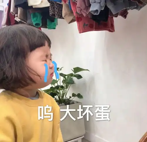  十条笑话粽子太贵可以用别的方式庆祝端午吗