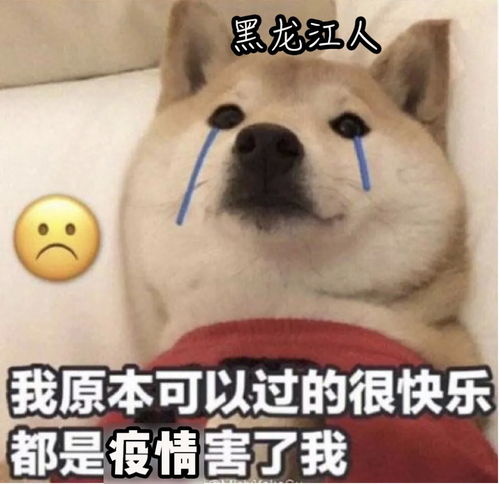 螃蟹大人的兔子表情包没