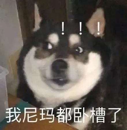  5.28什锦表情包