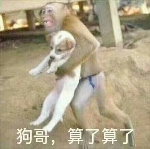  开心一笑堂弟上高二,自打谈了恋爱成绩下滑厉害,我劝他