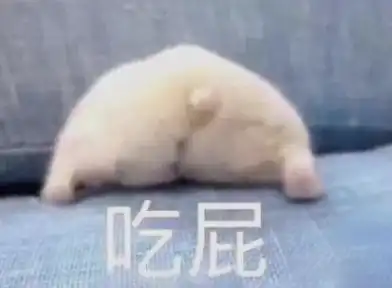  孝道金字塔伤透学生心,家长到底求啥