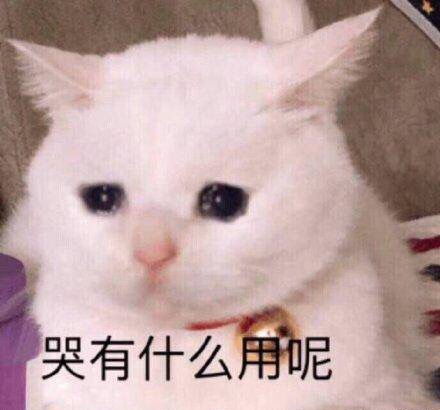  法考和法硕如何同时准备