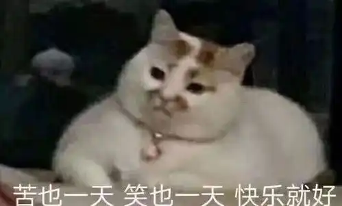  南大骑行必备让我们策马奔腾,共享单车潇洒