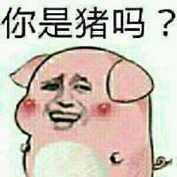  闭嘴你这只臭猪表情包微信头像图片大全