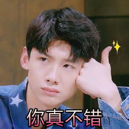  白敬亭表情包