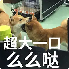  柴犬齐天熊孩子篇表情包