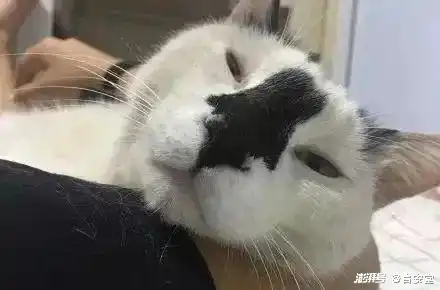  这个显眼包没解决前,新晋油王就是你