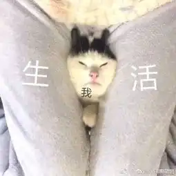  最全生活与我表情包合集,是谁把我摁在光滑的地上摩擦