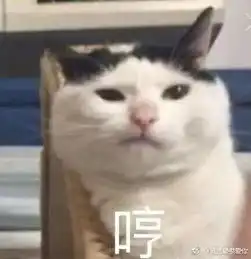 传你一套神奇的肢体语言  传你一套神奇的肢体语言