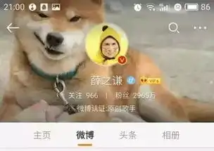 狗头表情包原型这只