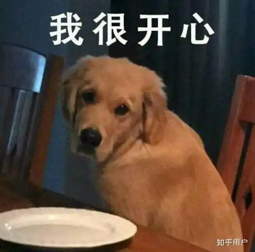  你用过的最沙雕的表情包是什么