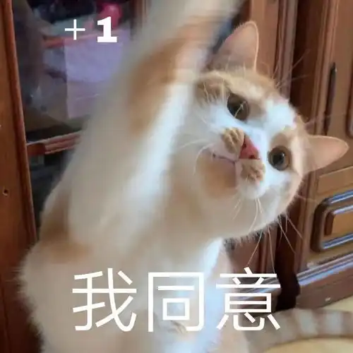  热门沙雕表情包