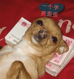 聊天动图gif表情包
