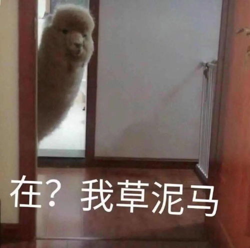  沙雕熊猫头表情包来评论聊天啦