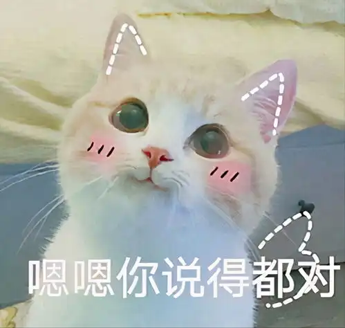  为什么更多人愿意养公猫5个原因告诉你真相