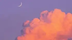  说打我屁股,然后发的打我脸的表情包...什么人给大家看看我的不一样的东北男友男朋友的日常