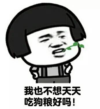  适合双十一的表情包