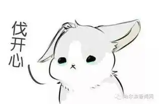  松花江开始封江了,今天哈尔滨正式入冬丨黑龙江省发布暴雪黄色预警,本周四天有雪,下一轮周四下到周六