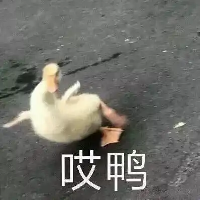  托福sat可以双备考吗去美国留学应该怎么准备
