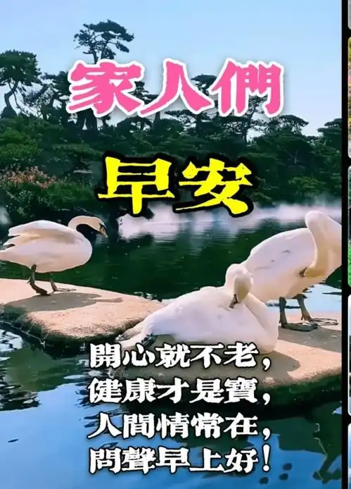 表情包分类祝福语