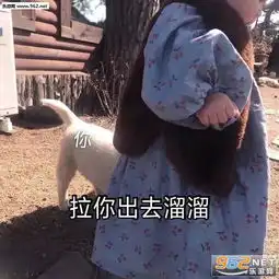 乔碧萝图片表情包表情包