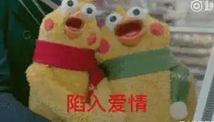  全网最丰富的鹦鹉兄弟表情包,收好