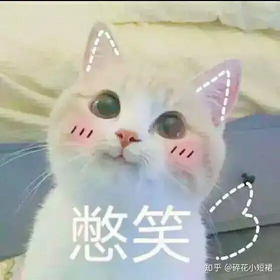  射手如何追求异地摩羯女