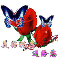  明天圣诞节,谁打开,谁幸福
