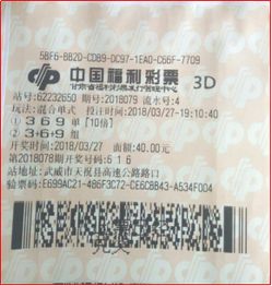  甘肃福彩3d新闻内容