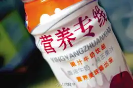  春节假冒伪劣山寨食品扎堆农村宁波民生e点通
