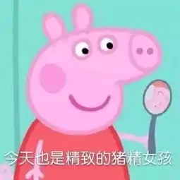 小猪佩琪表情包这只