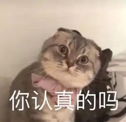  如何好好利用暑假来学法语b2学姐有话要说