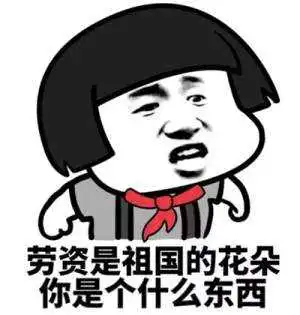金馆长搞笑表情素材猪猪
