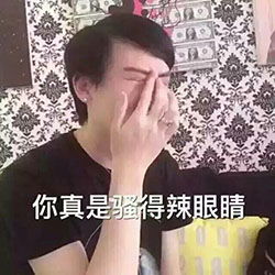  很杂的一些表情包