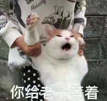  好看归好看,国民闺女这种危险人设她也敢碰