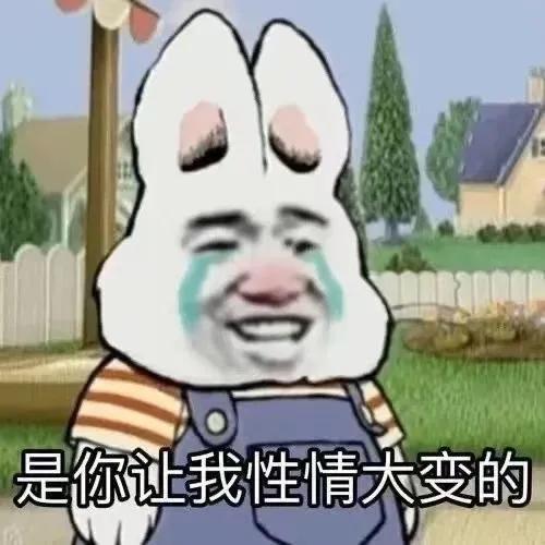  表情包老板新年好