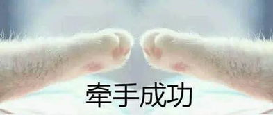  起舞秀风采,舞韵致青春