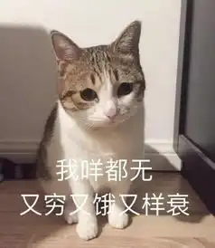 算我求你的表情包猫猫粮