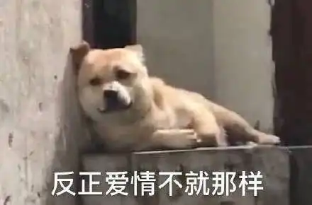  在迪拜开超跑的女人都是做啥的今天又是想成为富婆的一天