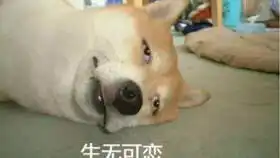  哪位仁兄300块处买了n康泰,真为信仰充值还是肾上腺素刺激下单的创业板新股2个月之内不要碰,哪怕涨到屏幕外边也不要碰