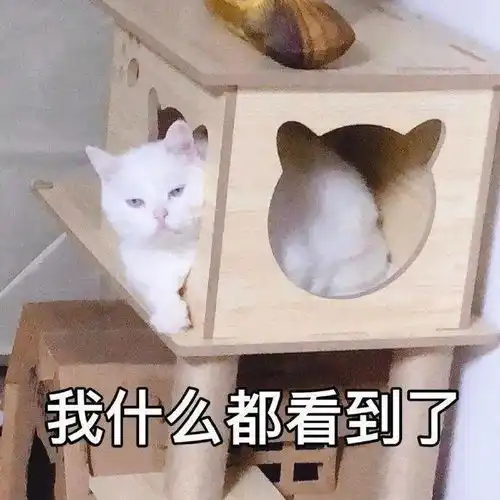萌宠表情包gif沙雕