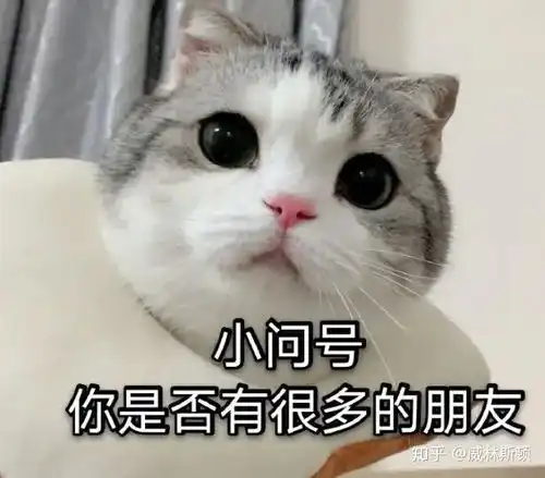 真怂表情包没事