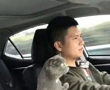  猫咪把爪子搭在你身上,原来是想对你说这些话